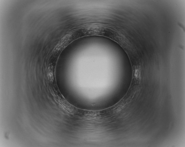 X0000101700771200807101536
