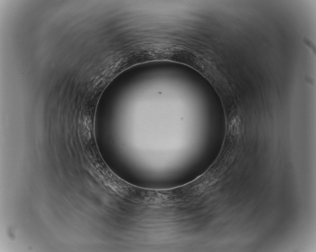 X0000101700772200807101536