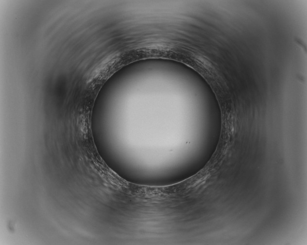 X0000101700774200807101536