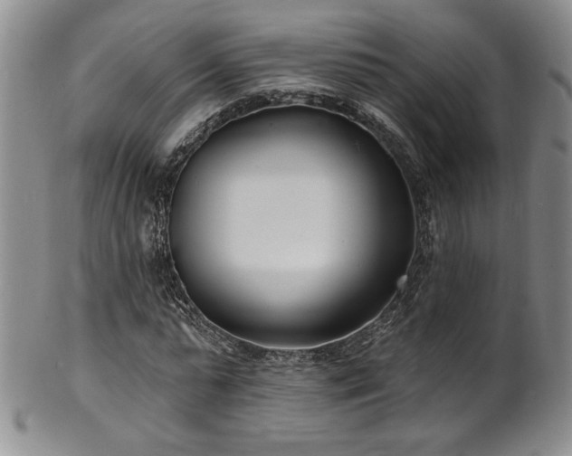X0000101700775200807101536