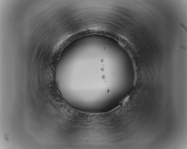 X0000101700776200807101536
