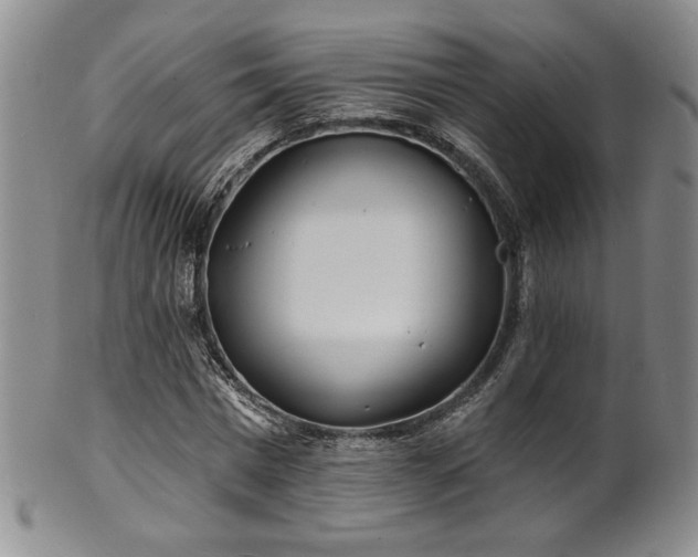 X0000101700777200807101536