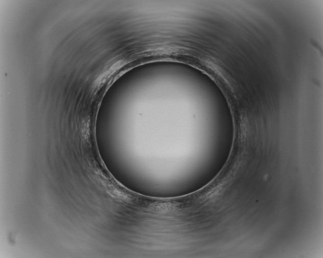 X0000101700778200807101536