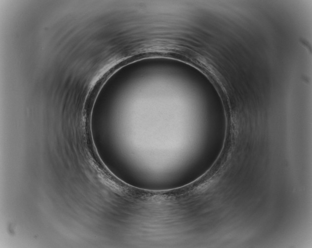 X0000101700779200807101536