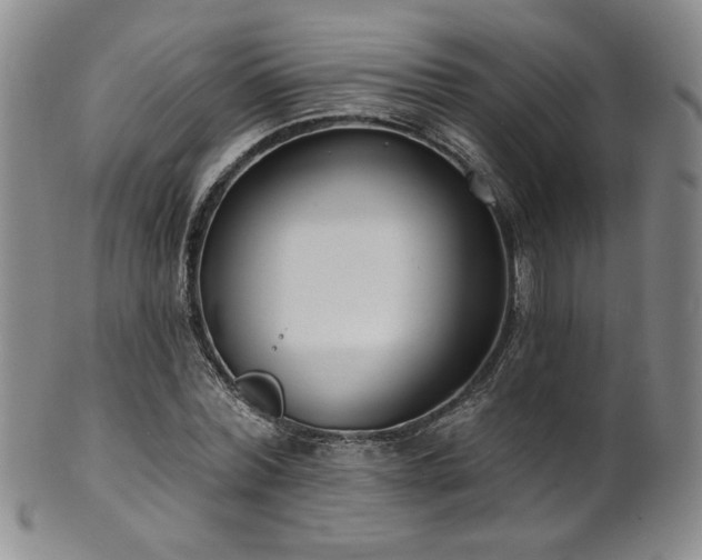 X0000101700780200807101536