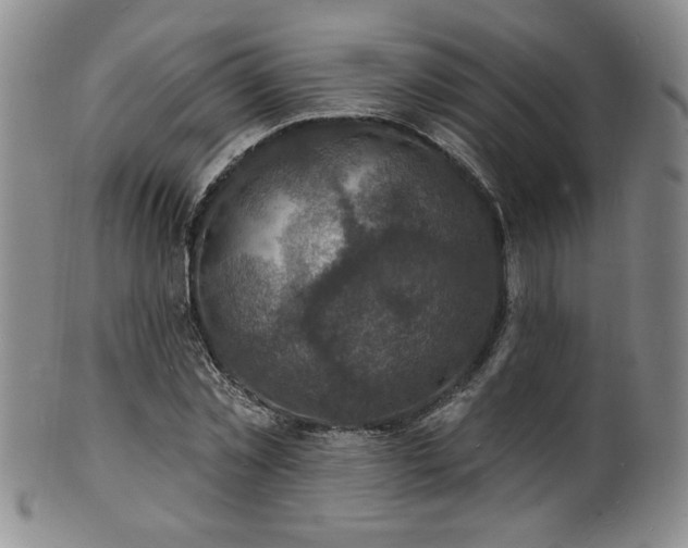 X0000101700781200807101536