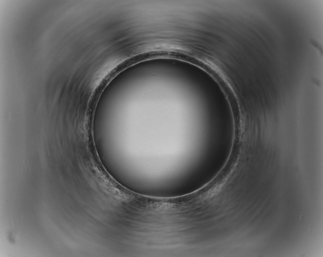 X0000101700783200807101536