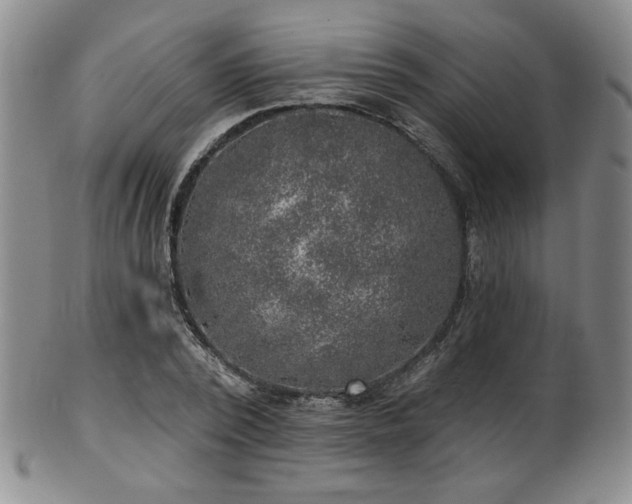 X0000101700784200807101536