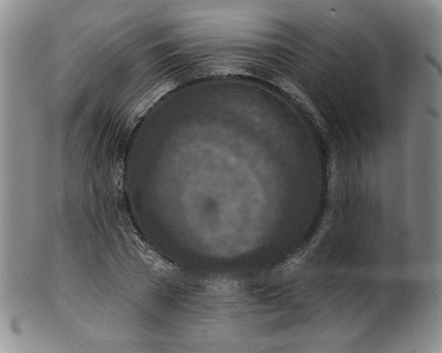 X0000101700785200807101536