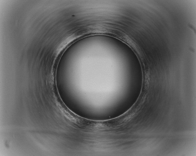 X0000101700787200807101536