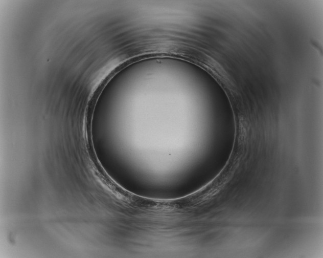 X0000101700788200807101536