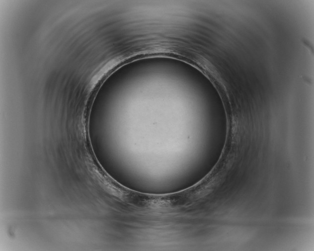 X0000101700789200807101536