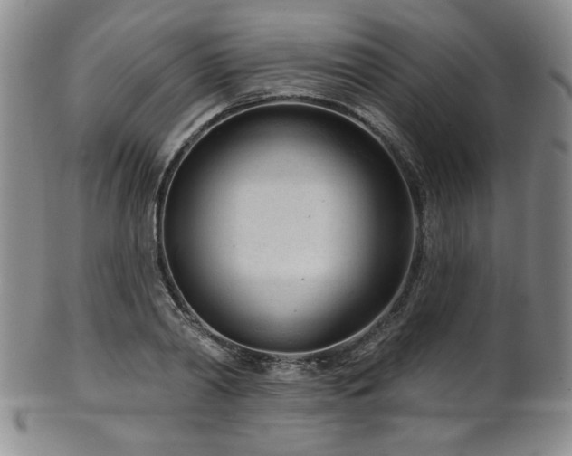 X0000101700790200807101536