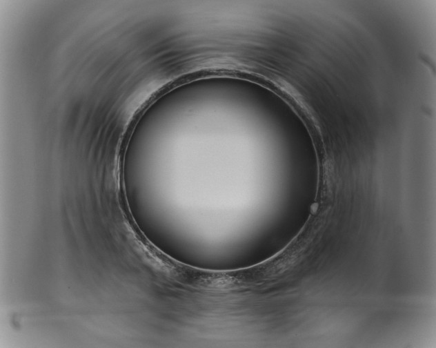X0000101700791200807101536