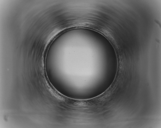 X0000101700792200807101536