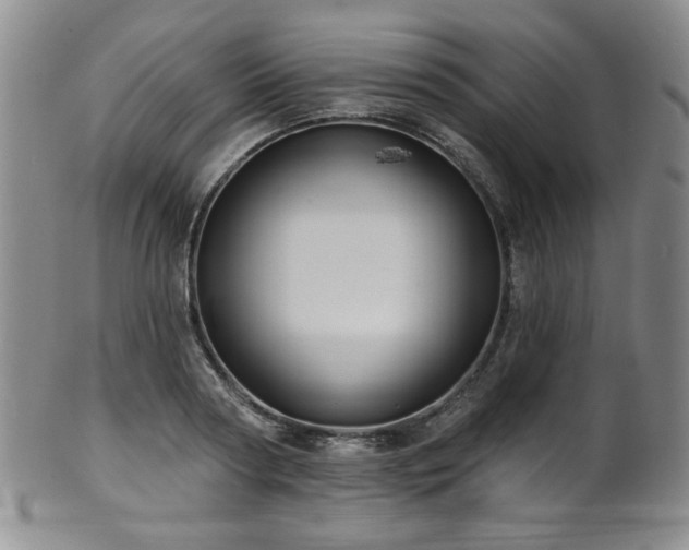 X0000101700794200807101536