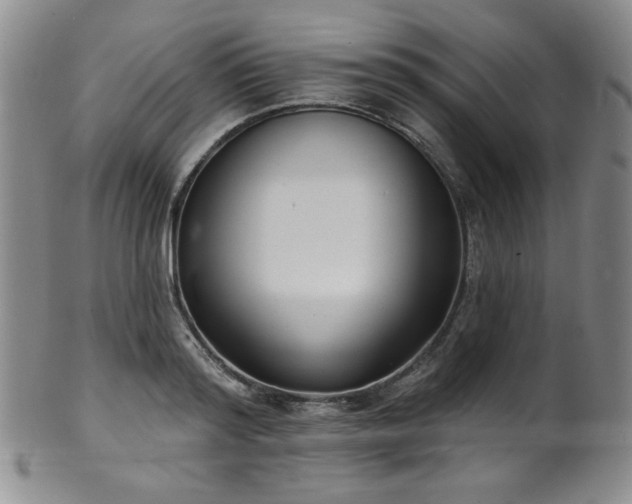 X0000101700796200807101536