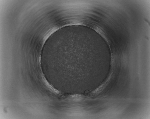 X0000101700797200807101536