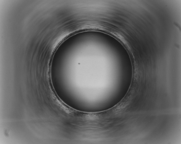 X0000101700799200807101535