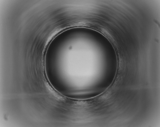 X0000101700800200807101535