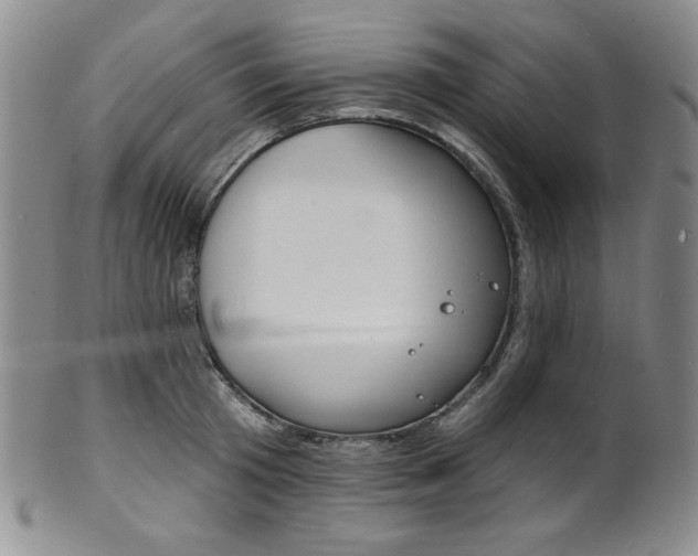 X0000101700801200807101535