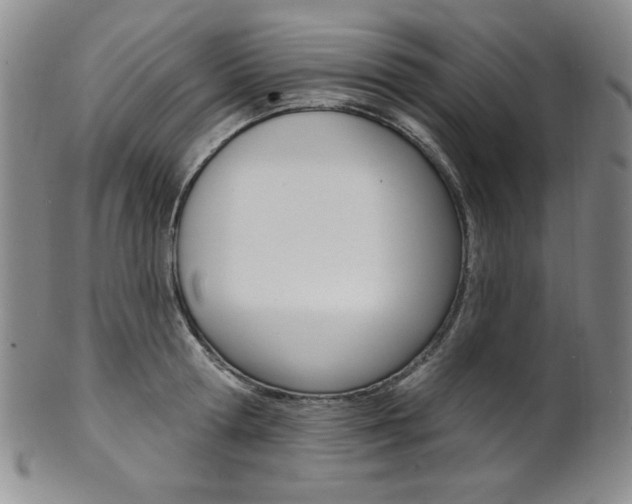 X0000101700802200807101535