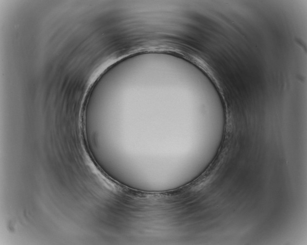 X0000101700803200807101535