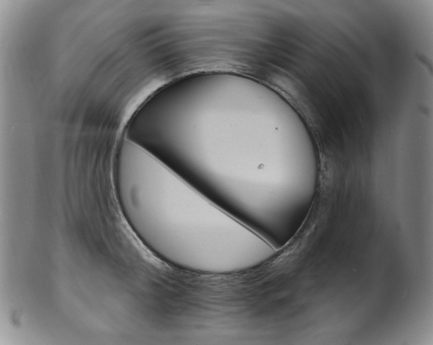 X0000101700804200807101535