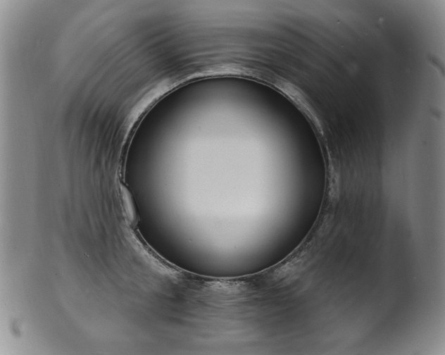 X0000101700805200807101535