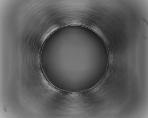 X0000101700806200807101535