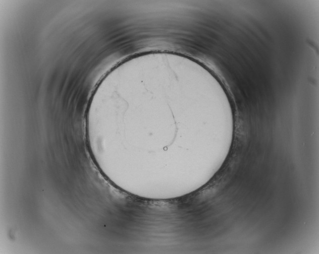 X0000101700807200807101535