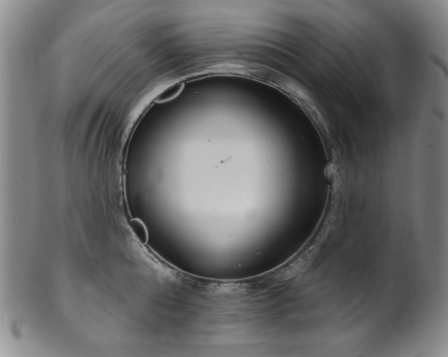 X0000101700808200807101535