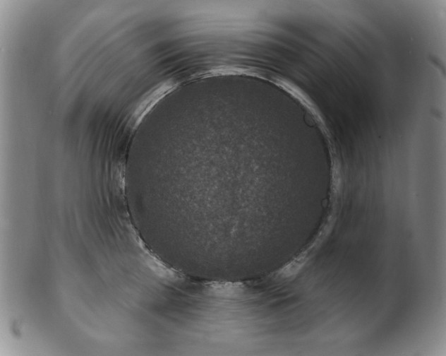 X0000101700809200807101535