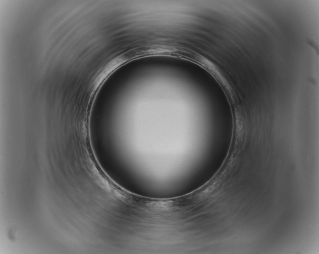 X0000101700810200807101535