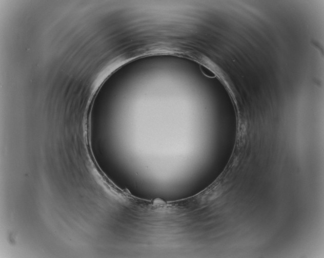 X0000101700811200807101535