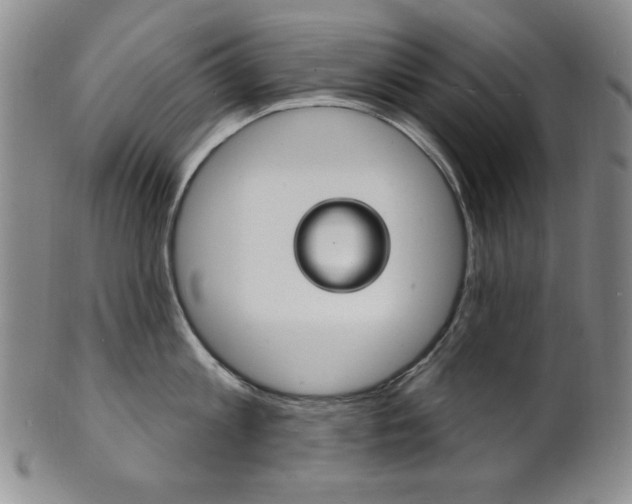 X0000101700813200807101535