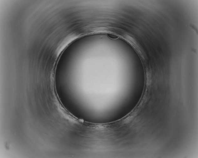 X0000101700814200807101535