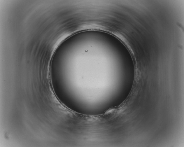 X0000101700815200807101535