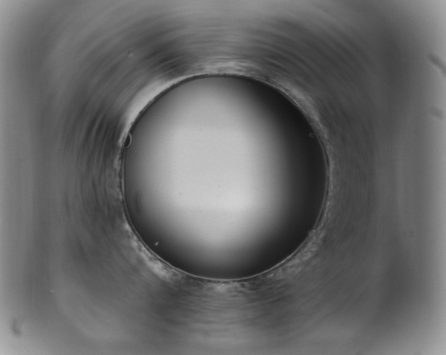 X0000101700816200807101535