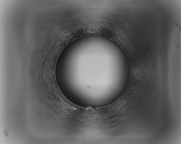 X0000101700817200807101534