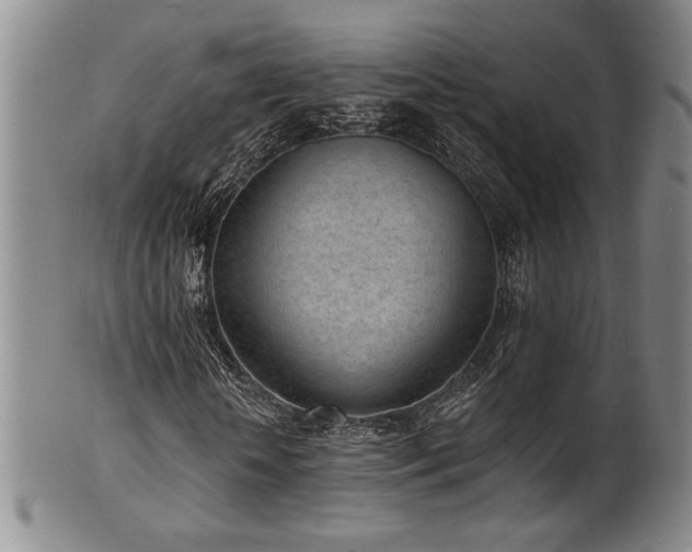 X0000101700818200807101534