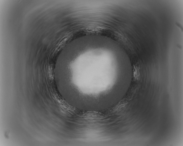X0000101700819200807101534