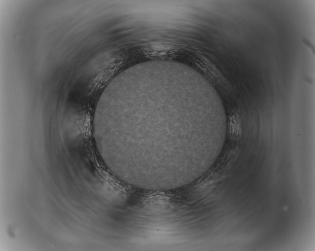 X0000101700820200807101534