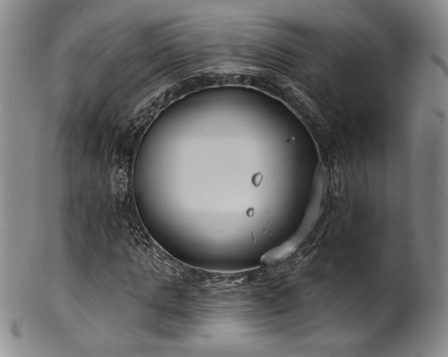 X0000101700821200807101534