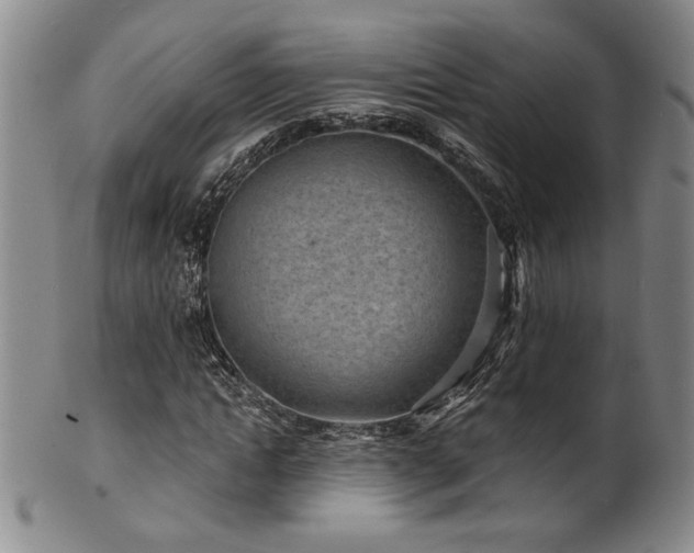 X0000101700822200807101534