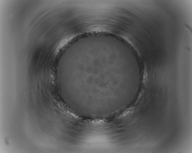 X0000101700823200807101534