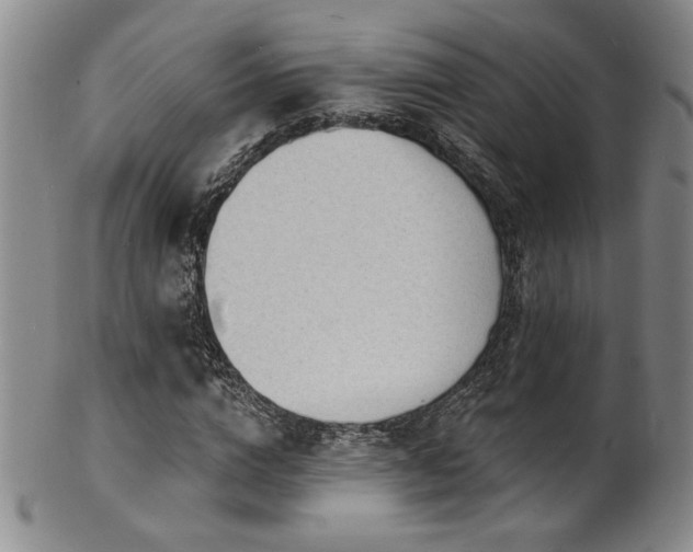 X0000101700824200807101534