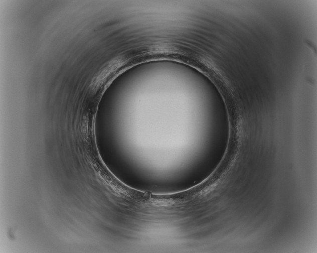 X0000101700825200807101534