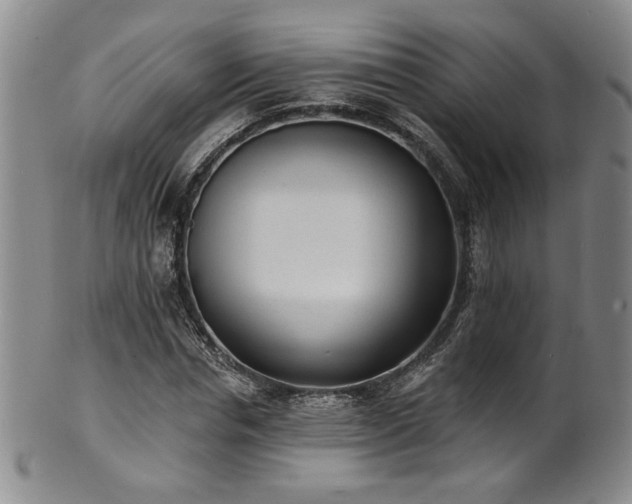 X0000101700826200807101534