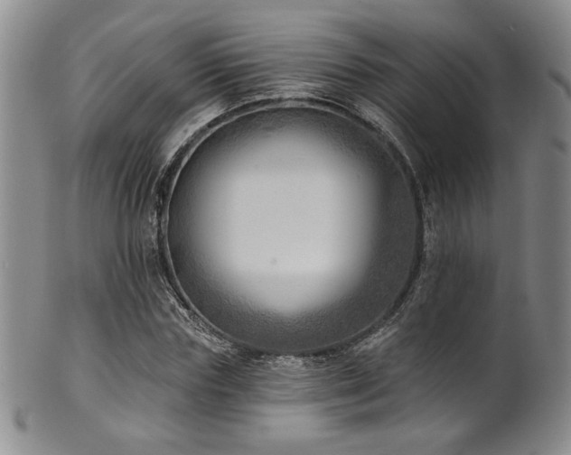 X0000101700827200807101534